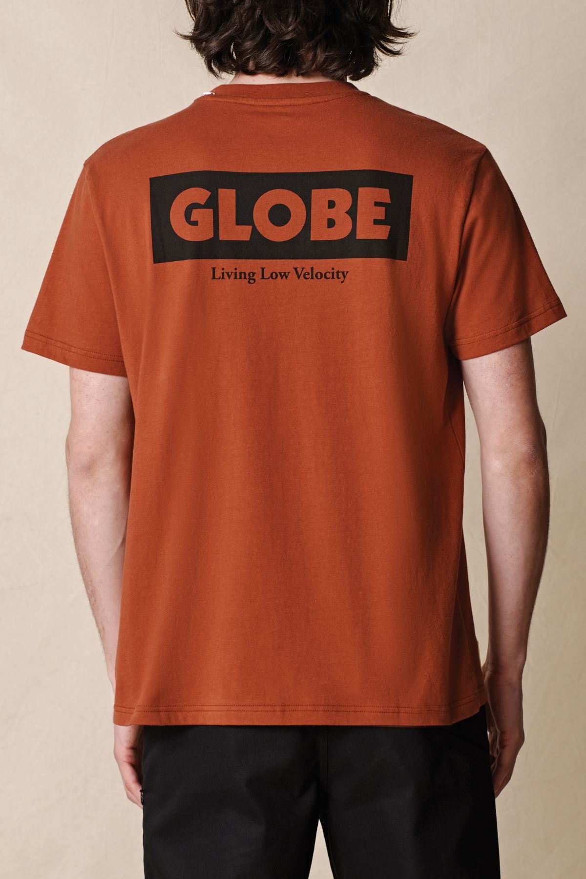 Camiseta Globe Living Low Velocity Marrones Claro | Peru-186329