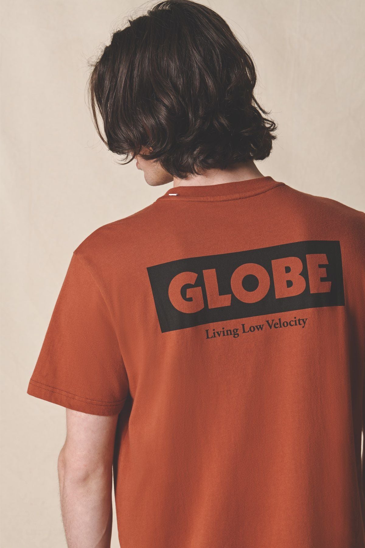 Camiseta Globe Living Low Velocity Marrones Claro | Peru-186329